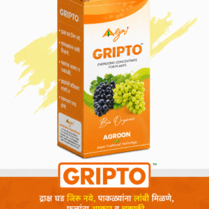Gripto (ग्रीप्टो) - द्राक्षघड जिरा नये म्हणून पोंगा अवस्थेत फवारा करणे