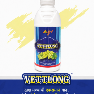 Vettlong (वेटलाँग) - द्राक्षाचा रंग व आकार यासाठी उपयुक्त आहे